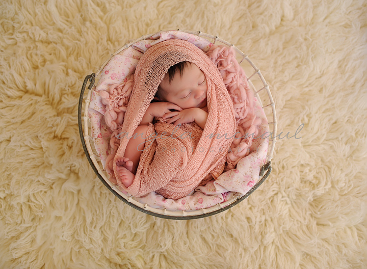 A New Baby Girl ~Newborn Photographer Charlottesville Virginia~