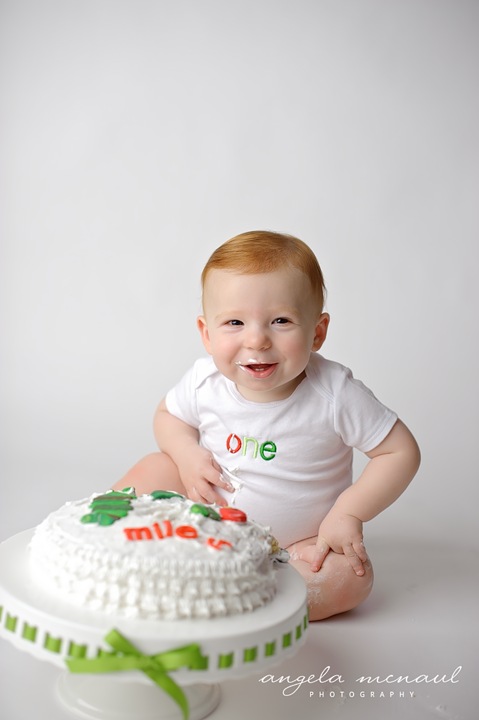 ~Happy Birthday Miles~ Charlottesville & Richmond Baby and Toddler Photographer