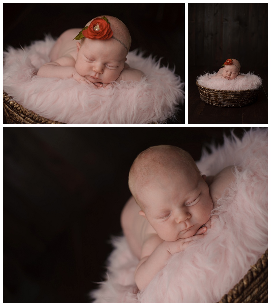 Newborn Photographer Charlottesville & Scottsville_0259.jpg
