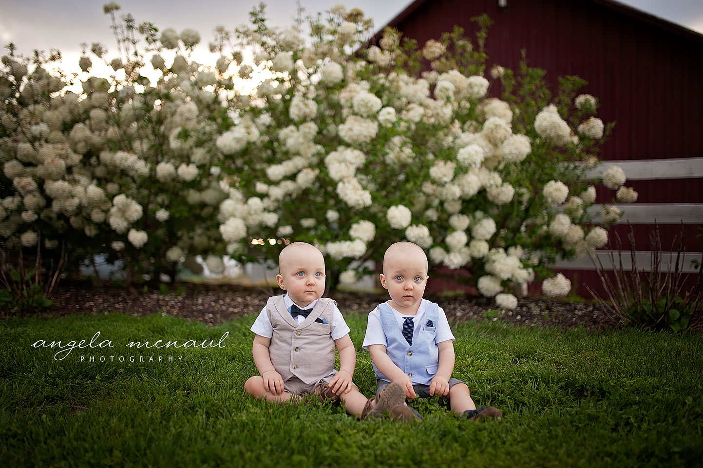 Twins in Keswick Photography Baby Session