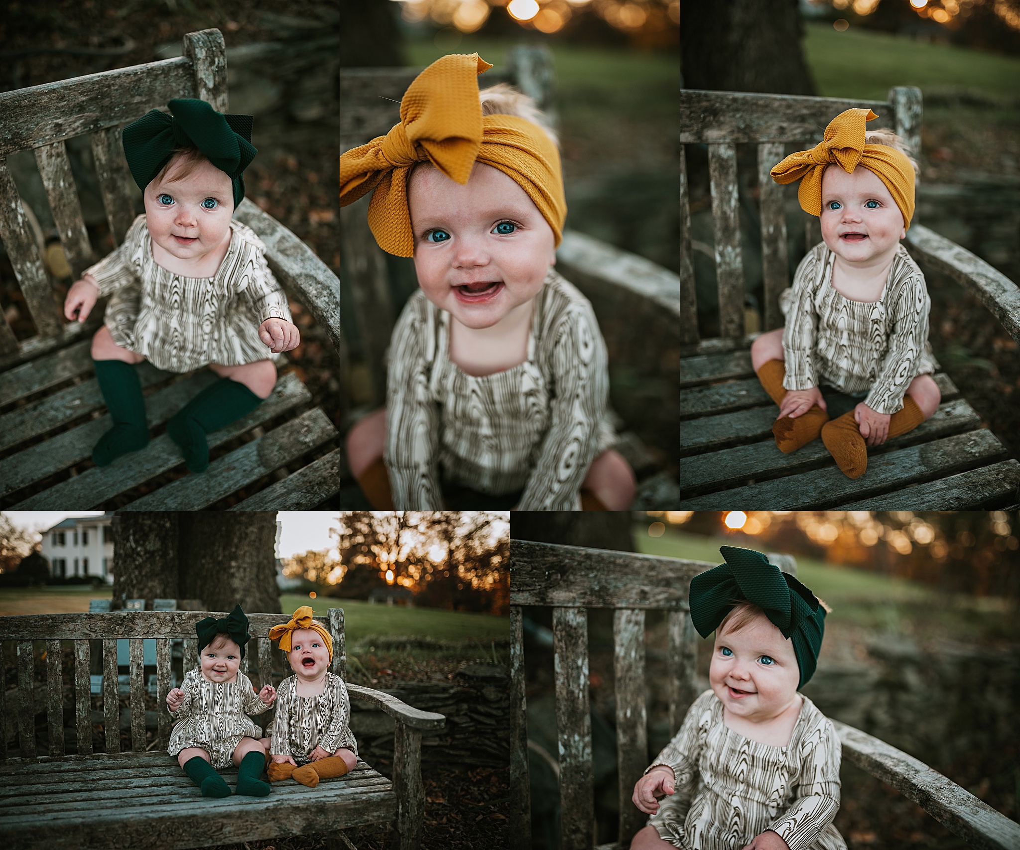 Charlottesville Baby Milestone Photographer