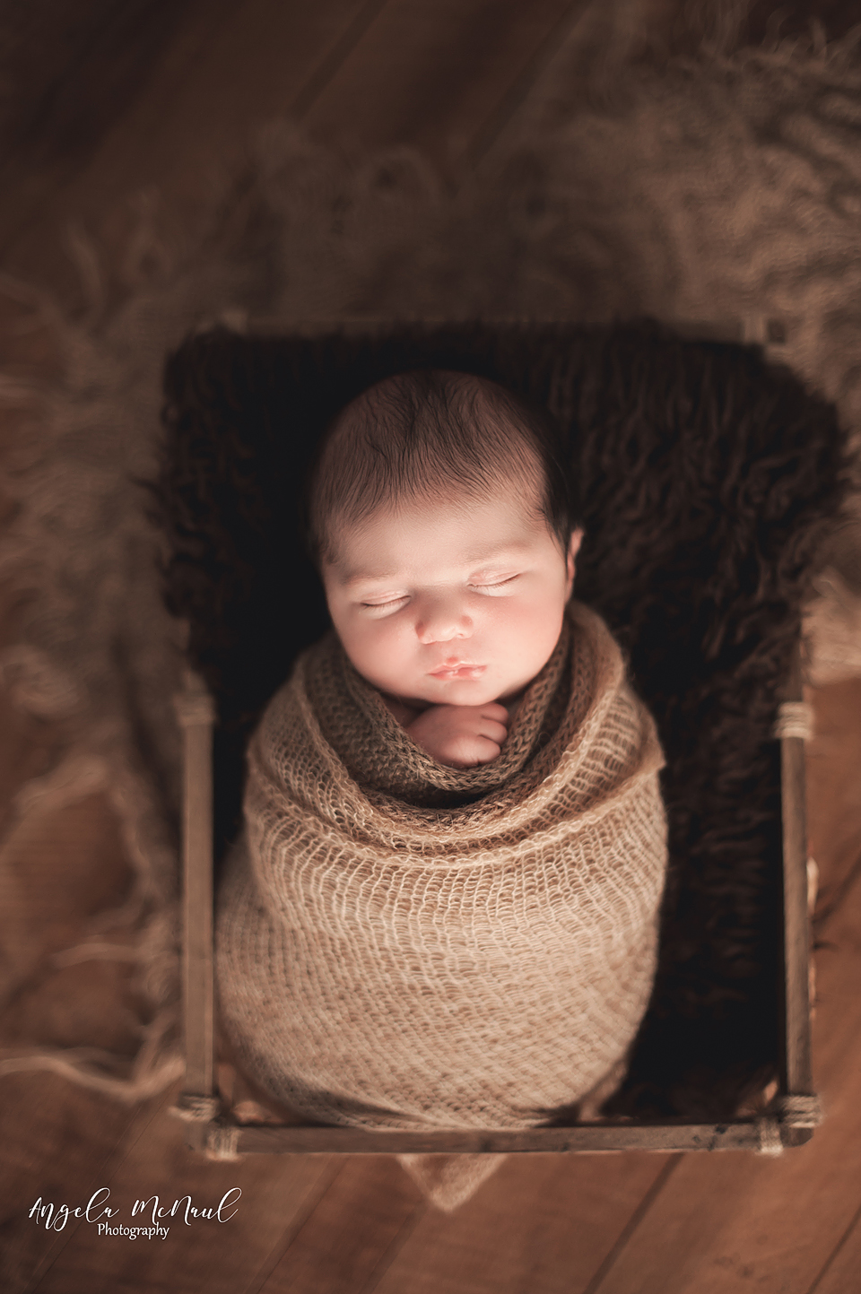Charlottesville Newborn Photos