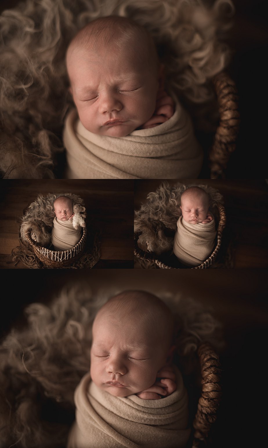 Crozet Newborn Photographer