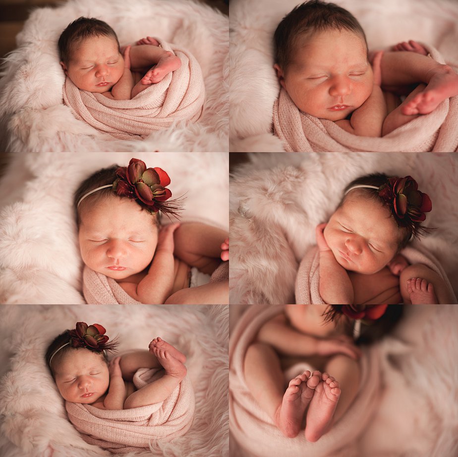Waynesboro Newborn Photographer 