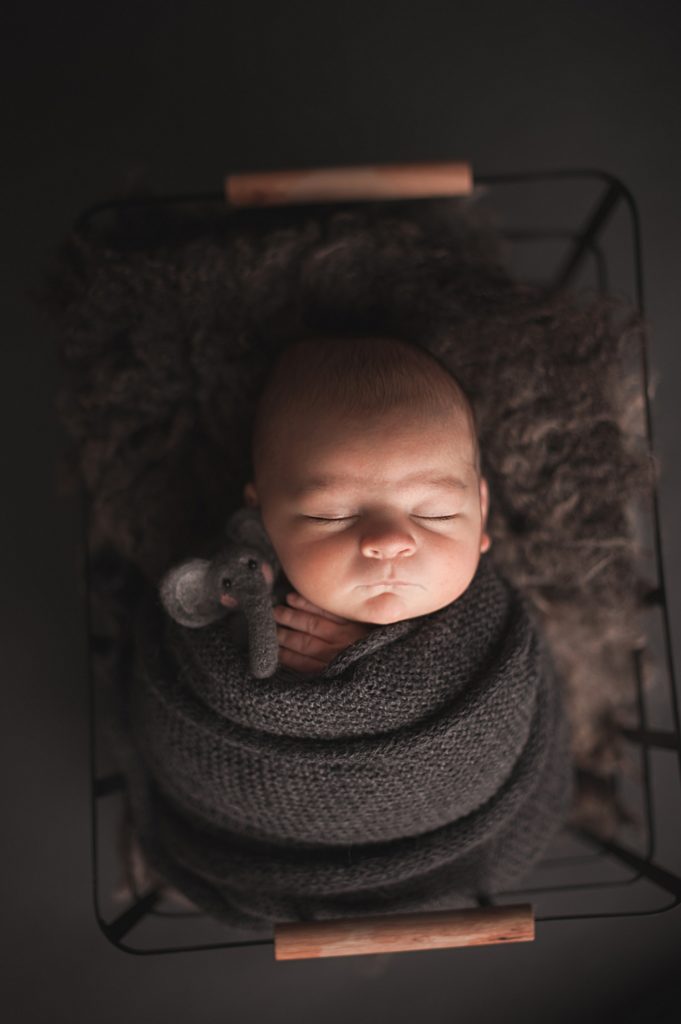 newborn swaddled in grey knit wrap holding elephant while sleeping