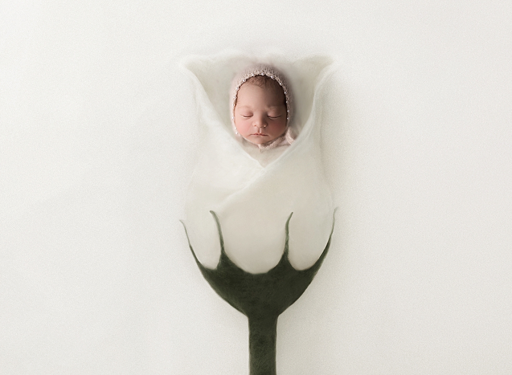 newborn photography composite